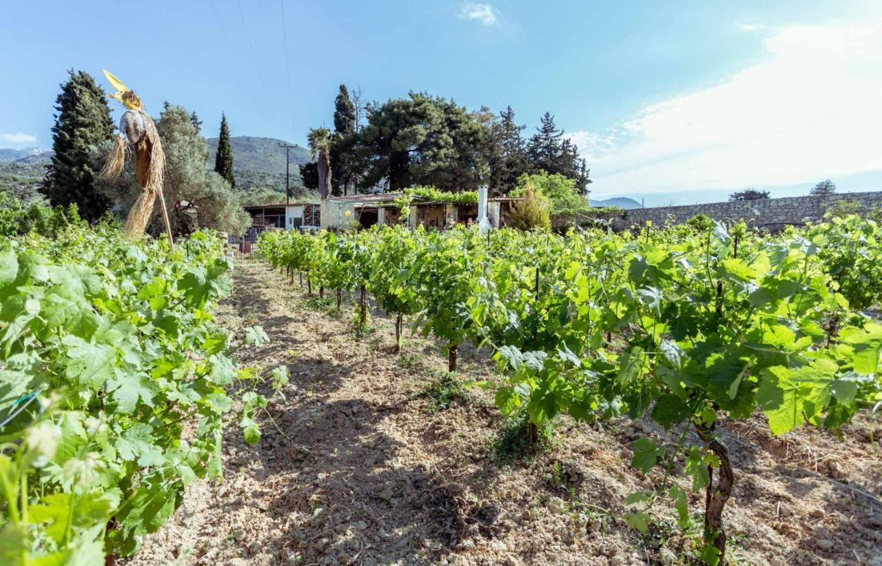 Вилла Nassibe Estate Agios Ioannis  Экстерьер фото